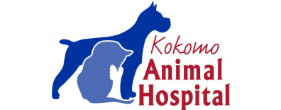 Kokomo Animal Hospital-HeaderLogo